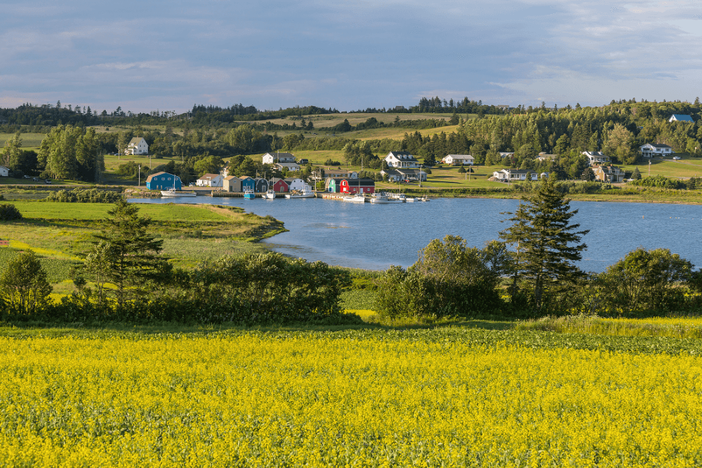 PEI Scenery