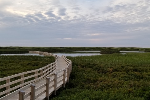Dunes and Lighthouse Expedition